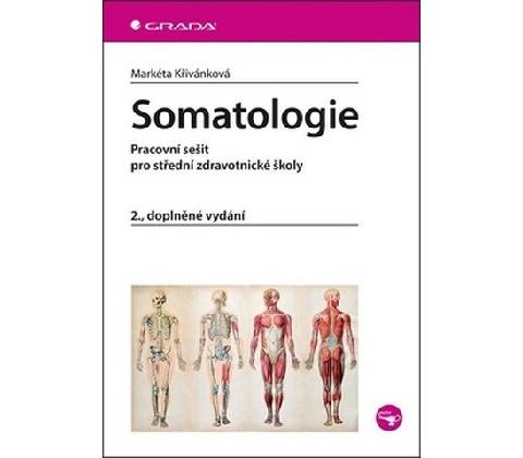 Somatologie