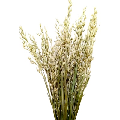 Sušený oves přírodní natural svazek 200g