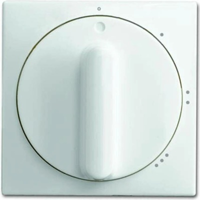 Busch-Jaeger 2CKA001710A4060