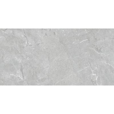 EBS Constanza 60 x 120 gray matná 1,44 m²
