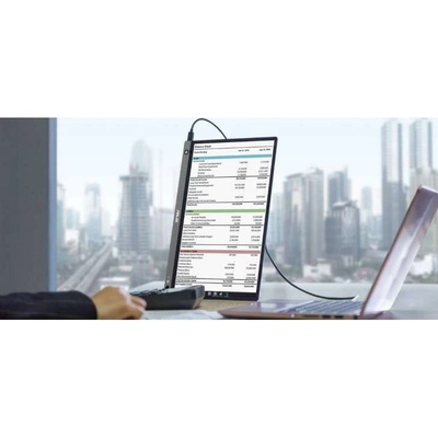 Asus MB16AHP