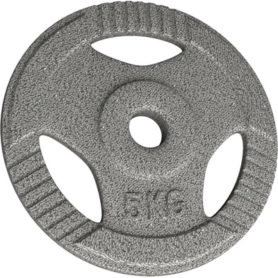 Physionics Litinový kotouč 10 kg 31 mm