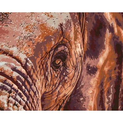 zuty Malování podle čísel Sloní pohled 100 x 80 cm bez rámu a bez vypnutí plátna