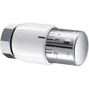 Viessmann TK 200