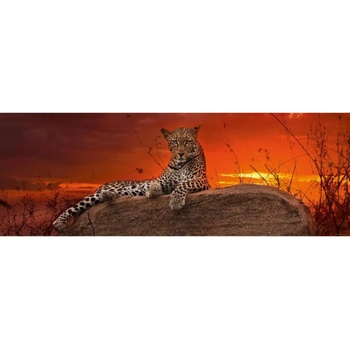 Image 1 of Heye - Puzzle Humboldt: Leopard at sunrise - 2 000 piese