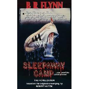 Sleepaway Camp (ISBN: 9781966037453)