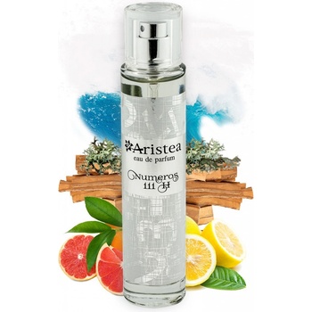 Aristea NUMEROS 111 H parfémová voda pánská 50 ml