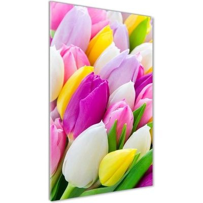 Vertikálny foto obraz fotografie na skle Farebné tulipány 50x100 cm