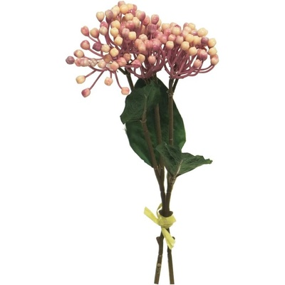 Hortenzie - Hydrangea vyběr pučící x3 fialová (mauve) V31 cm