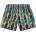 G-STAR Бански гащета G-Star Dirik Ao swimming shorts - Multicolor (Light Green Frost Figures 32)