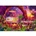Schmidt Spiele Jeff Haynie: Camping Paradise in the Desert (1000 Pieces)