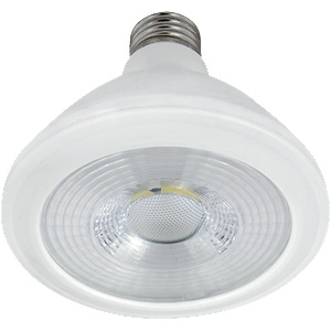 ELMARK Led ЛАМПА par30 10w e27 230v 4000k (99led700)