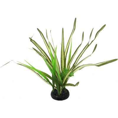 Repti planet Rostlina travina Spartina 30 cm