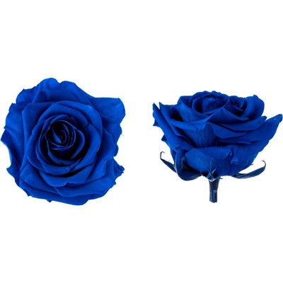Hlavy ruží - premium 4 ks Royal blue - tmavo modrá