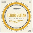 D'Addario EJ66