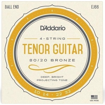 D'Addario EJ66