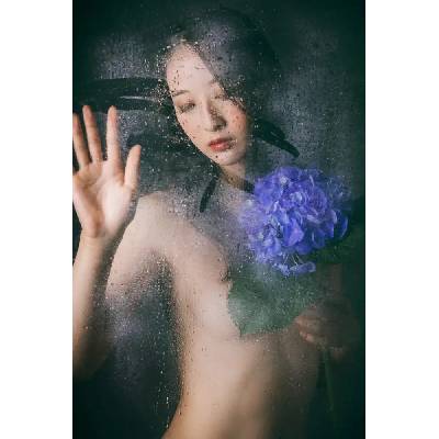 Fotografie - Kiyota, Daisuke: Hortenzie -Maria- - reprodukce obrazu