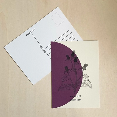 Herbarium – pohlednice Motiv: Lopuch větší