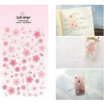 Suatelier Mini Swinka Stickers