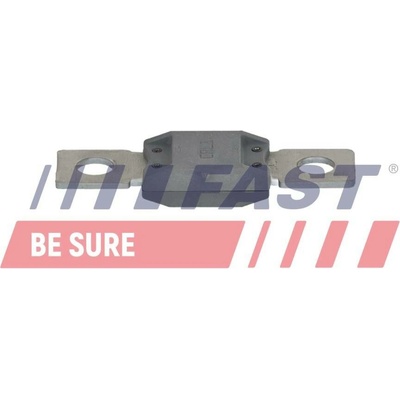 Pojistka FAST FT04583