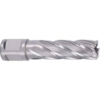 !!!! ABSE N-HS-W19-0180050