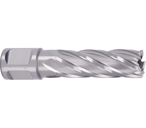 ABSE N-HS-W19-0180050