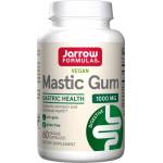 Jarrow Formulas Mastic Gum 500 mg [60 капсули]