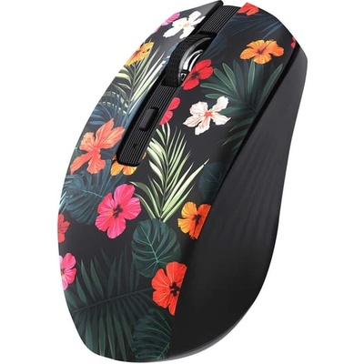 TnB Exclusiv Amazonia MWXAMAZO