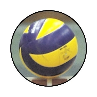 VIZINGR Volejbal MAXI logo L2č.205