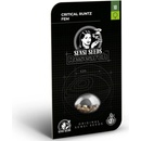 Sensi Seeds Critical Runtz Research semena neobsahují THC 3 ks