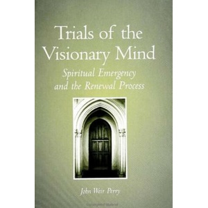 Trials of the Visionary Mind | John Weir Perry (ISBN: 9780791439883)