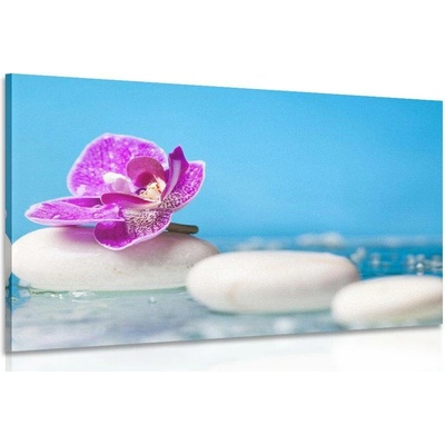 Obraz orchidej a Zen kameny - 60x40