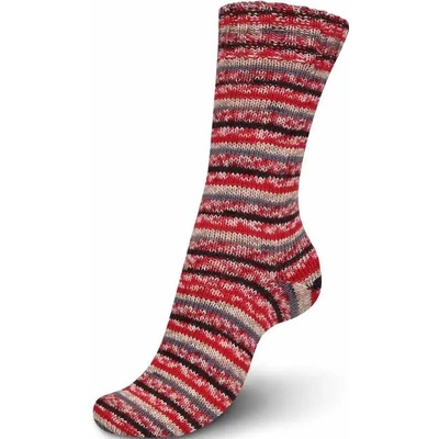 Regia 4-Ply Color Christmas edition 2455 bisquits color