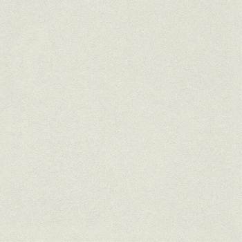 Image 1 of Rasch Тапет за стена нетъкан Fiducia Rasch 424263