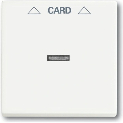 ABB Future linear 2CKA001710A3928