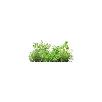 mySPOTTI SP-F2-1813 Samolepiaca PVC tapeta do kuchyne Splash Emil bylinky 2800 x 600 mm