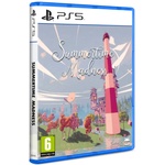 DP Games Summertime Madness (PS5)