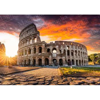 Magnolia - Puzzle Rome - 1 000 piese