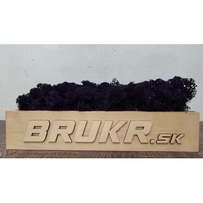 Stabilizovaný mach - Nórsky lišajník - purple ( fialový ) 4kg