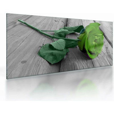 Sklenený obraz - Zelená ruža, jednodielne 100x50 cm na skle