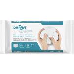 Darwi The Self-Hardening Modelling Clay Classic Самосъхнеща глина White 1000 g (DA0801000000C)