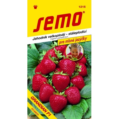 Semo Jahodník veľkoplodý Grandian F1 12s