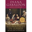 Outlander: Dragonfly in Amber TV Tie-in