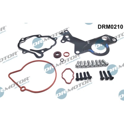 Opravná sada, podtlaková pumpa (brzdová soustava) Dr.Motor Automotive DRM0210 – Sleviste.cz