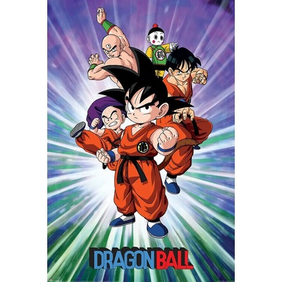 Plagát, Obraz - Dragon Ball - Group, 61 × 91.5 cm