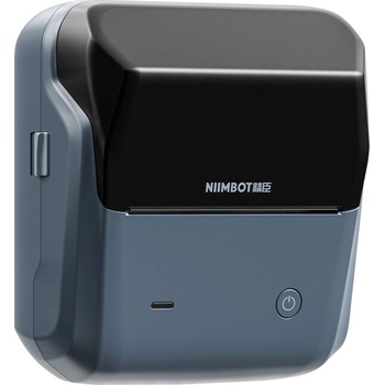 NiiMbot B31