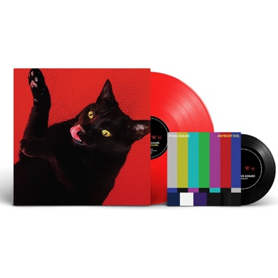 Adams Ryan: Big Colors - Coloured Edition LP