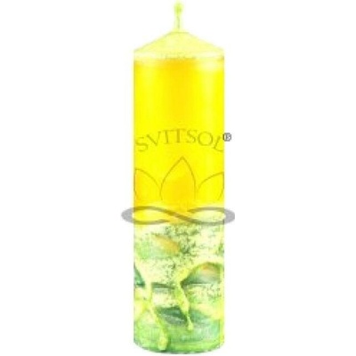 Svitsol Válcová svíčka úzká vysoká Citronella 130 g