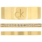 Calvin Klein 35000795e (35000795e)