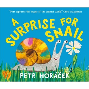 Surprise for Snail | Petr Horacek (ISBN: 9781529531831)